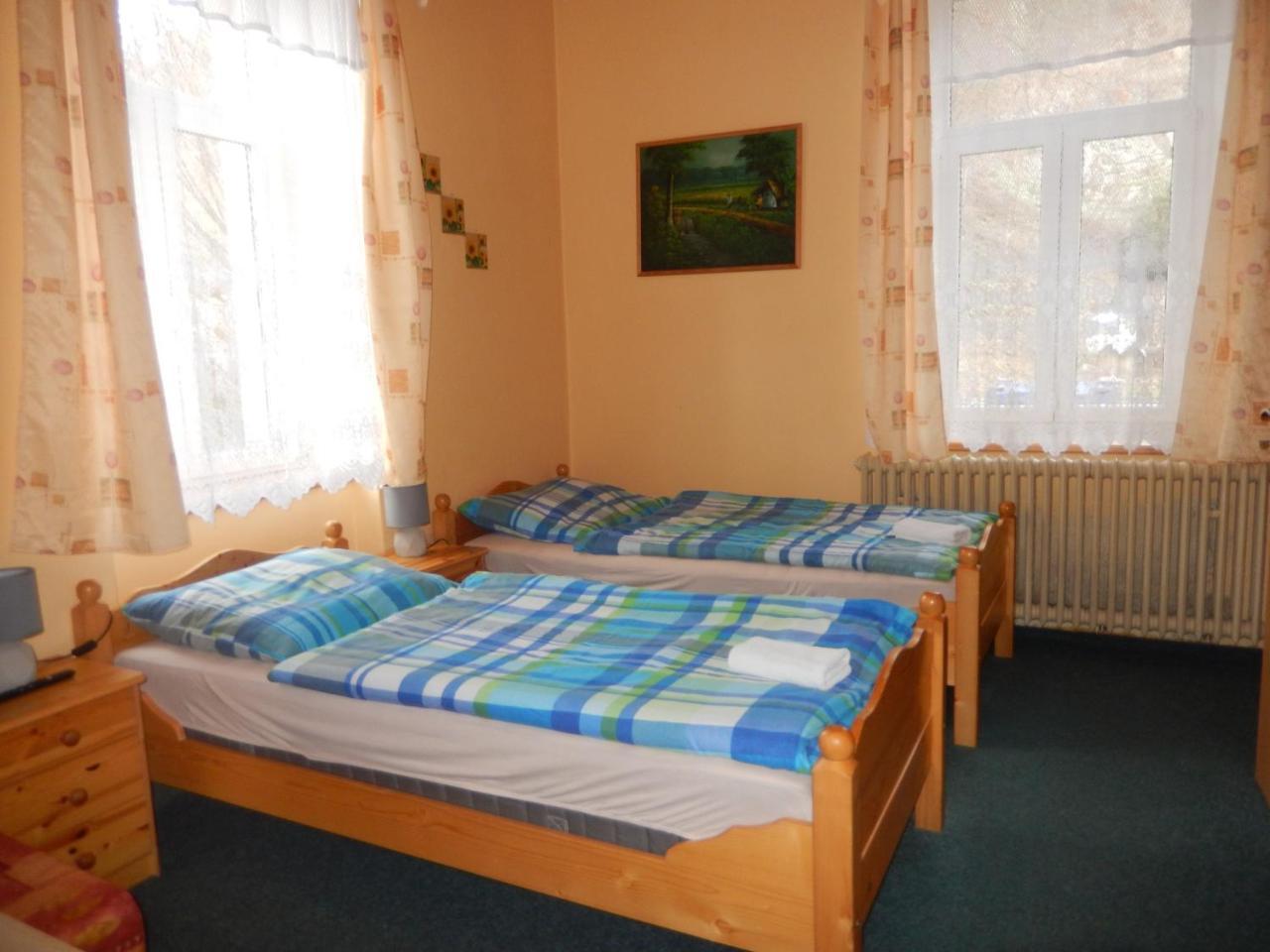 Penzion Manetin U Sv. Barbory Hotel Bagian luar foto